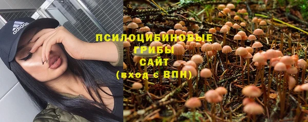 PSILOCYBIN Балахна