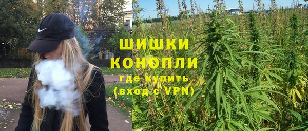 PSILOCYBIN Балахна