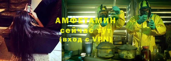 PSILOCYBIN Балахна