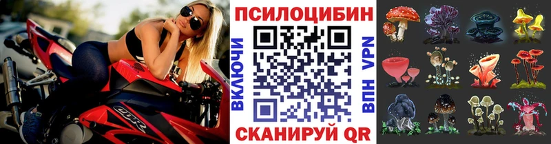 Галлюциногенные грибы MAGIC MUSHROOMS  Купить закладки  Калуга 